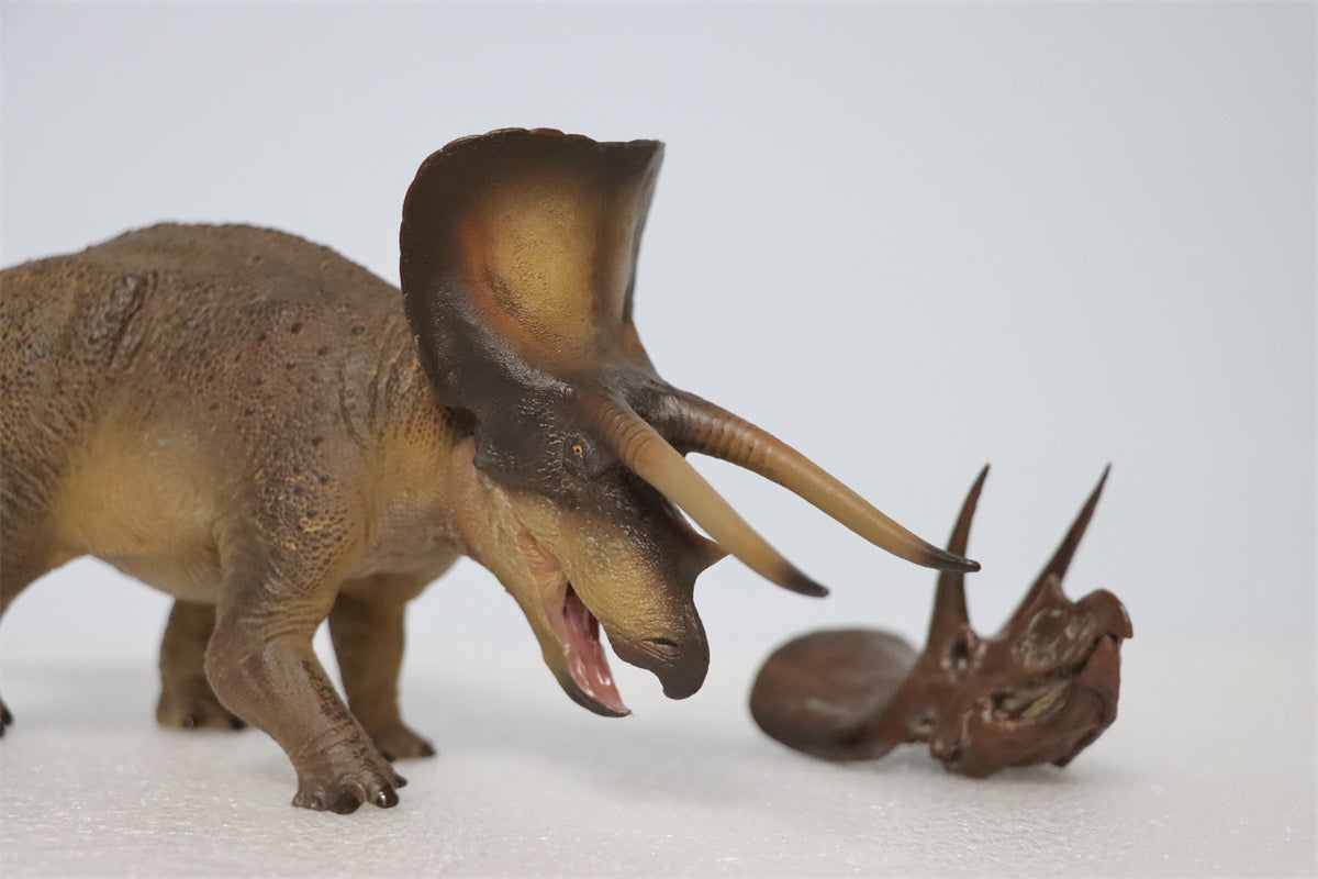 PNSO 1/35 New Triceratops Doyle Model