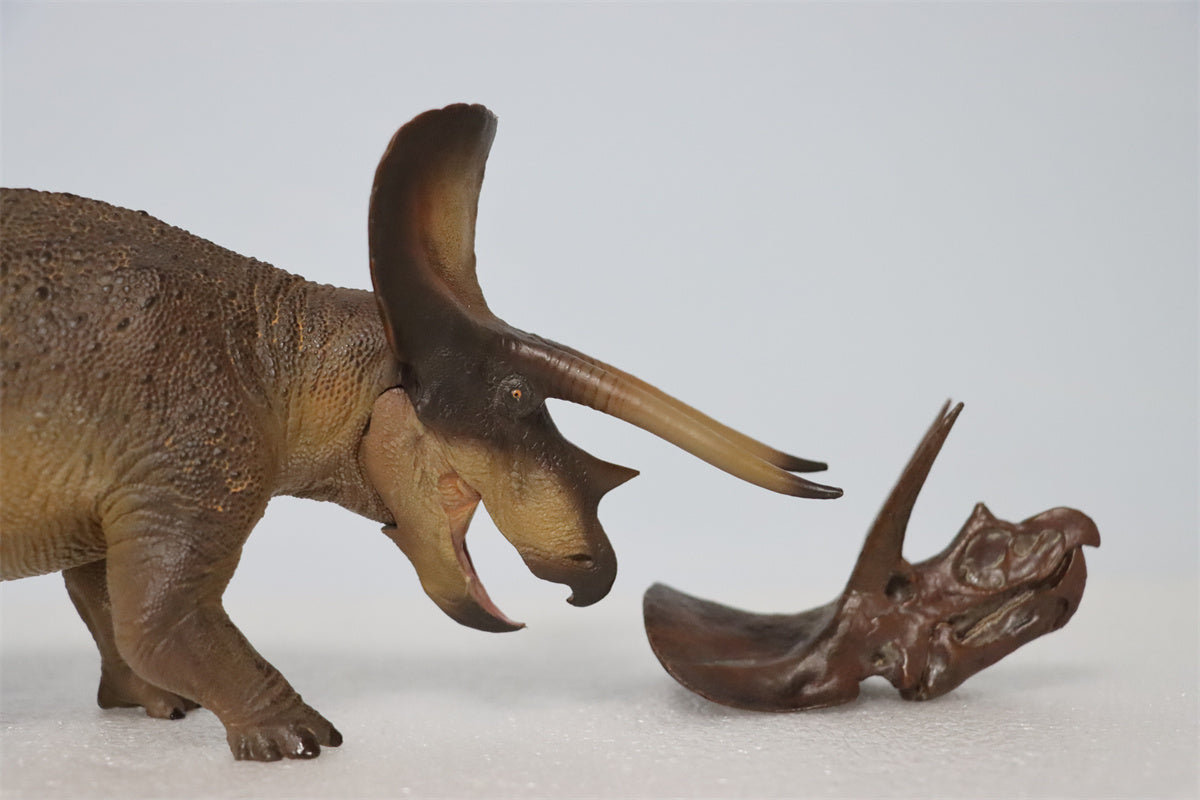 PNSO 1/35 New Triceratops Doyle Model