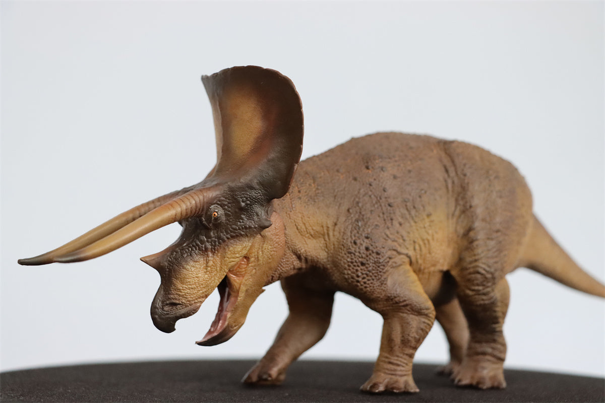 PNSO 1/35 New Triceratops Doyle Model