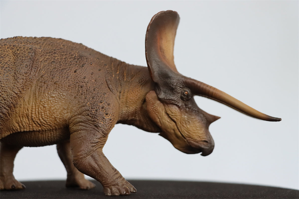 PNSO 1/35 New Triceratops Doyle Model