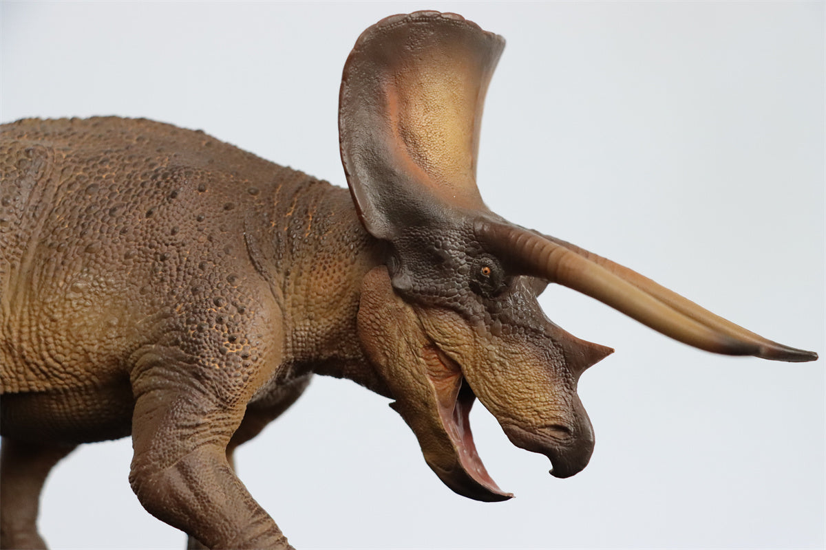 PNSO 1/35 New Triceratops Doyle Model