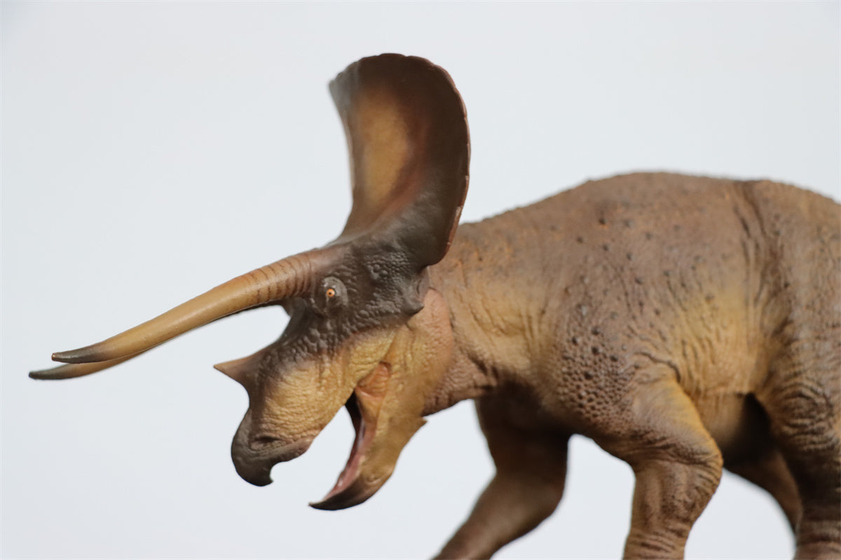 PNSO 1/35 New Triceratops Doyle Model
