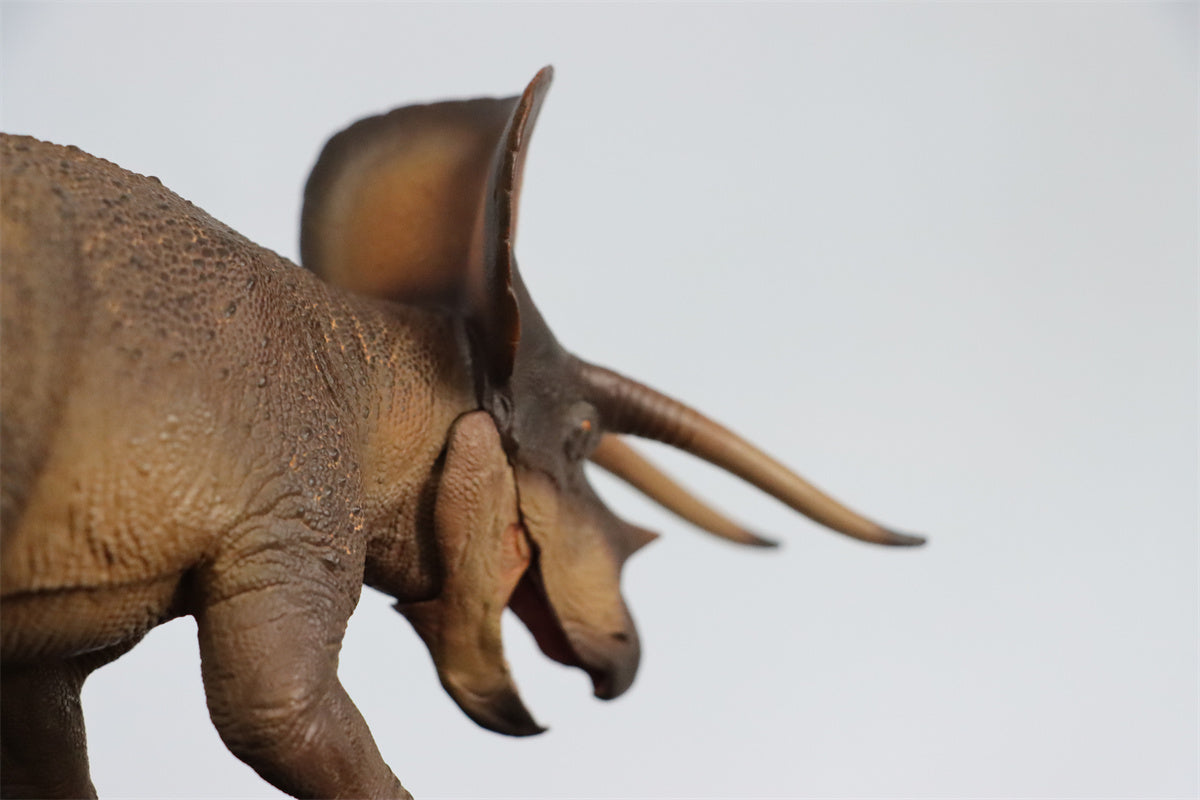 PNSO 1/35 New Triceratops Doyle Model