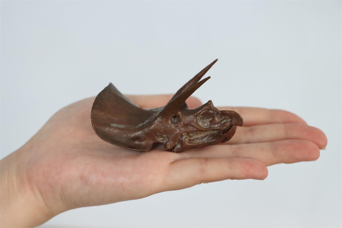 PNSO 1/35 New Triceratops Doyle Model