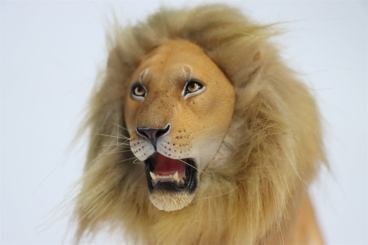 JXK 1/6th Lion 2.0 Model