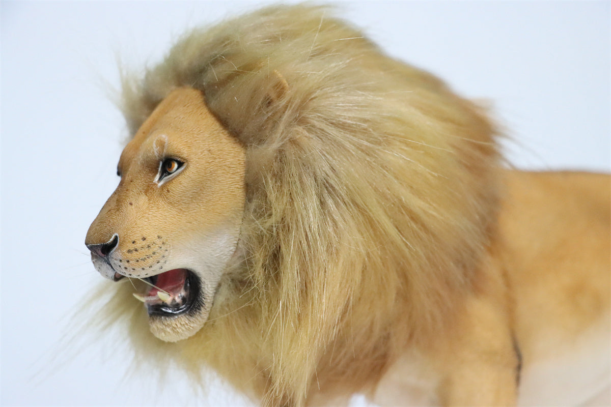 JXK 1/6th Lion 2.0 Model