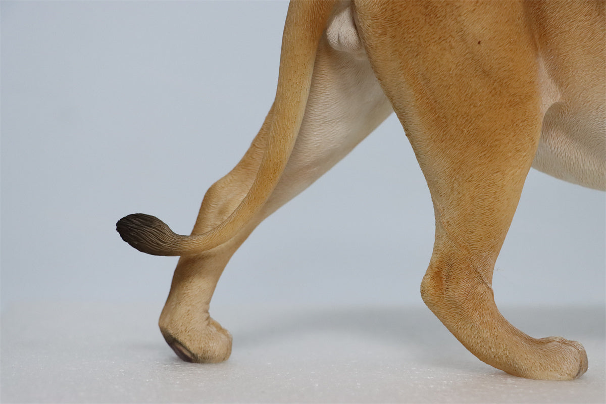 JXK 1/6th Lion 2.0 Model