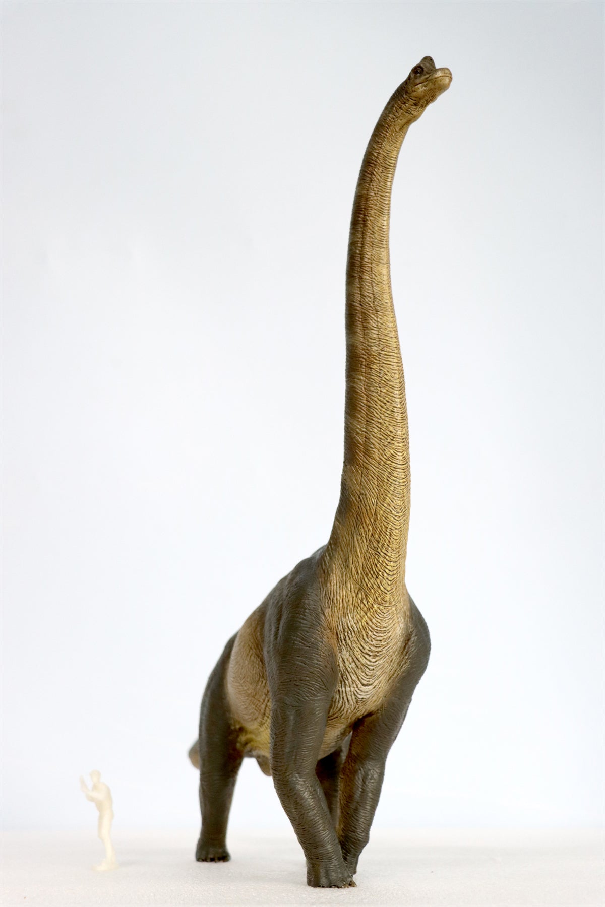 Nanmu Studio Brachiosaurus Watchmen Figure