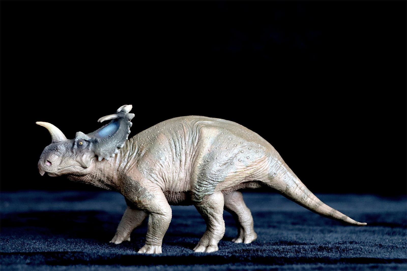 PNSO Centrosaurus Jennie Model