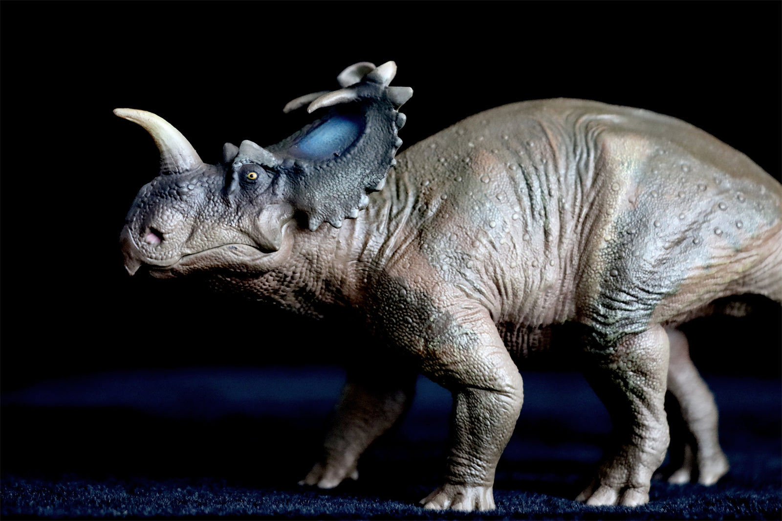 PNSO Centrosaurus Jennie Model