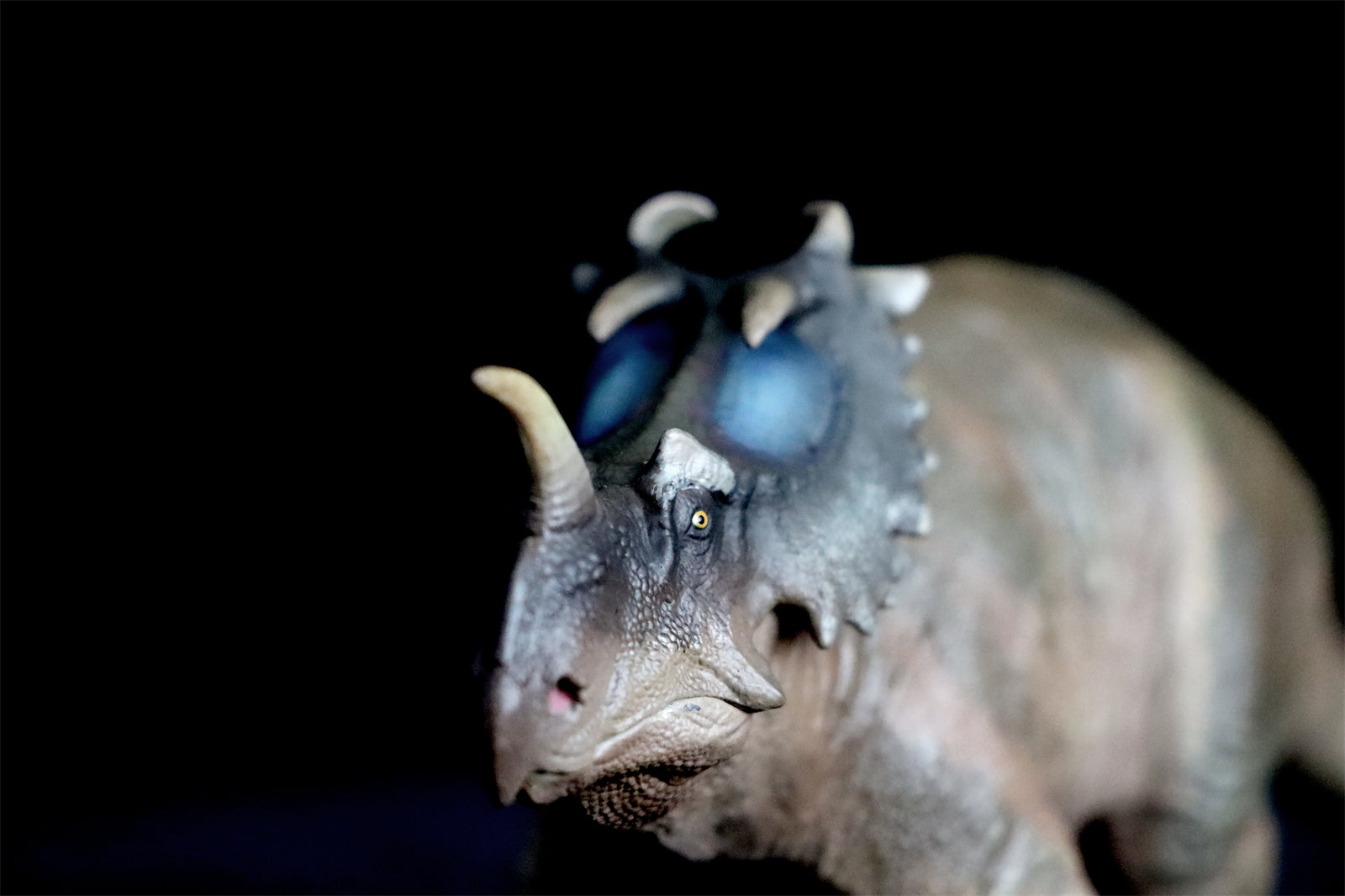 PNSO Centrosaurus Jennie Model