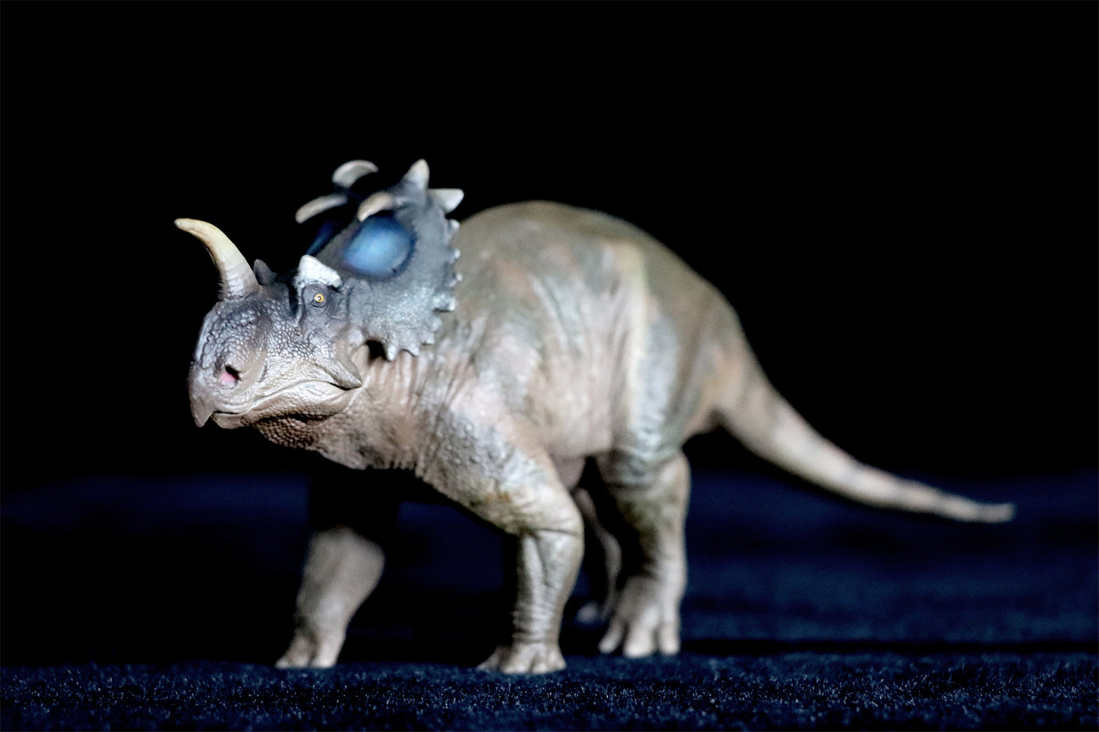 PNSO Centrosaurus Jennie Model