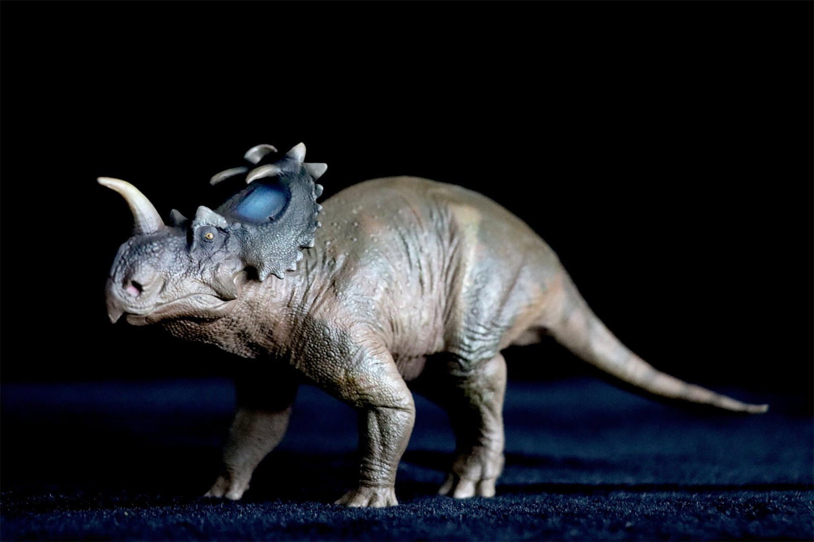 PNSO Centrosaurus Jennie Model