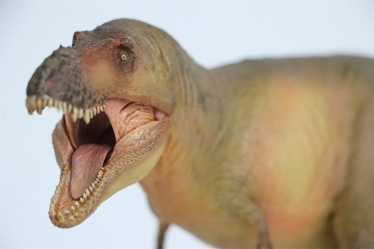 PNSO Luxiong Zhuchengtyrannus Model