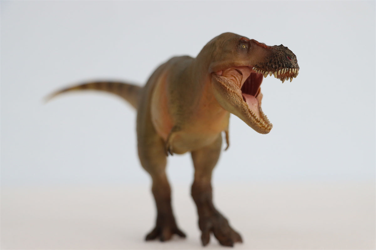 PNSO Luxiong Zhuchengtyrannus Model