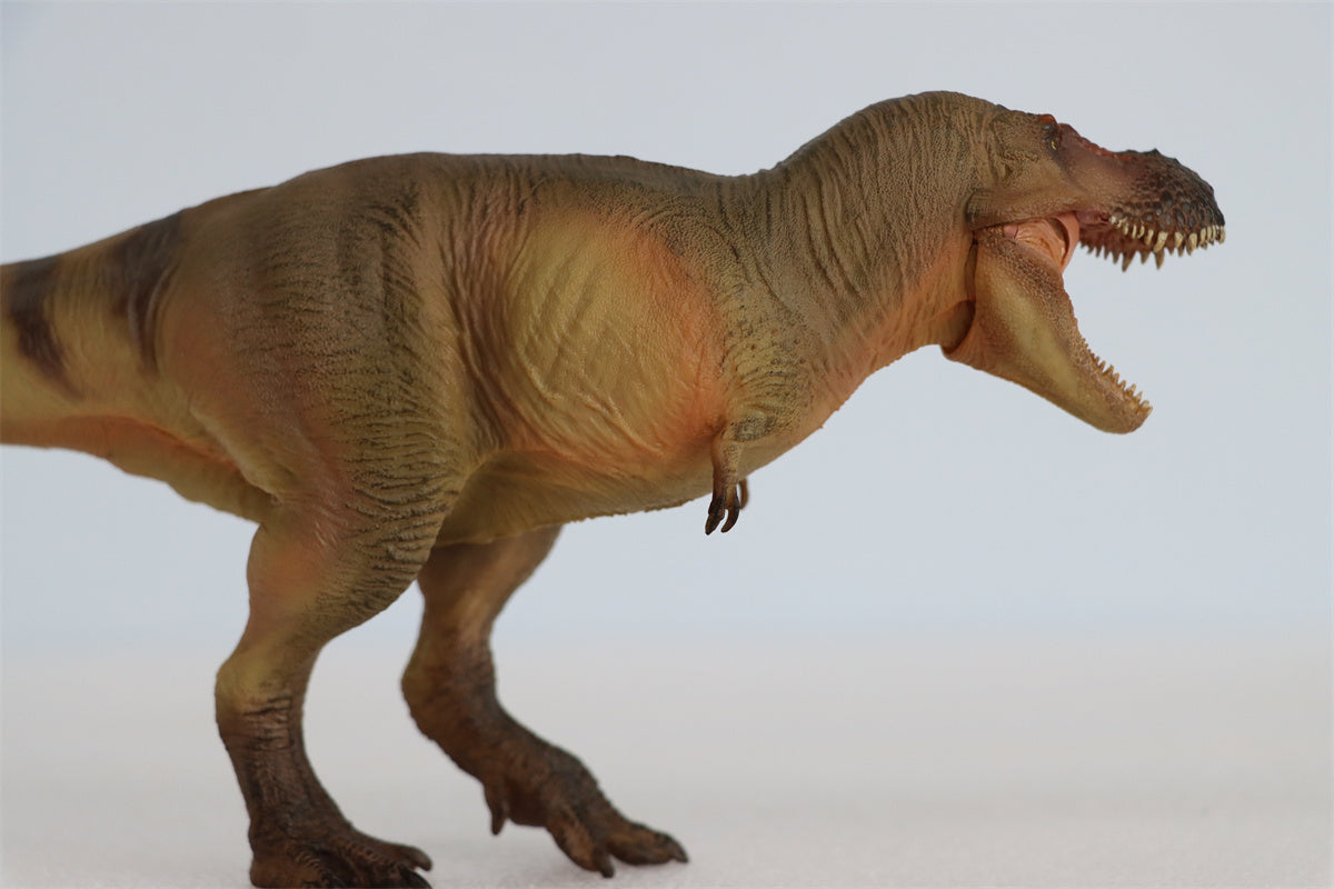 PNSO Luxiong Zhuchengtyrannus Model