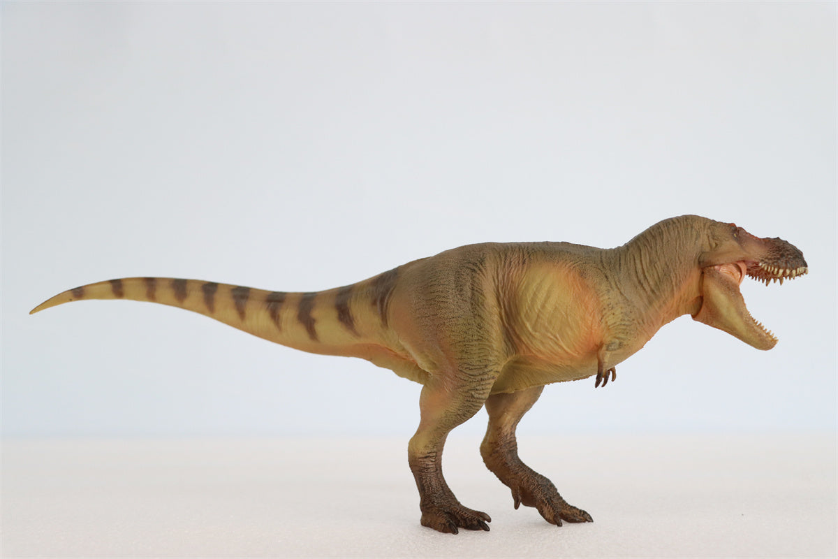 PNSO Luxiong Zhuchengtyrannus Model