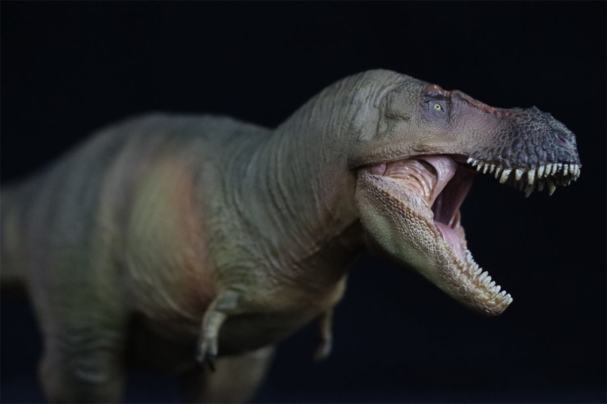 PNSO Luxiong Zhuchengtyrannus Model