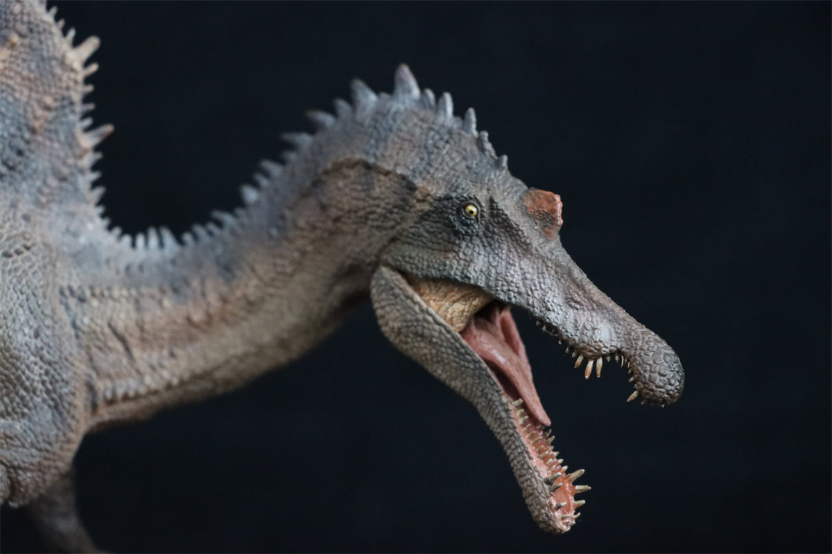 PNSO 1:35 Spinosaurus Model