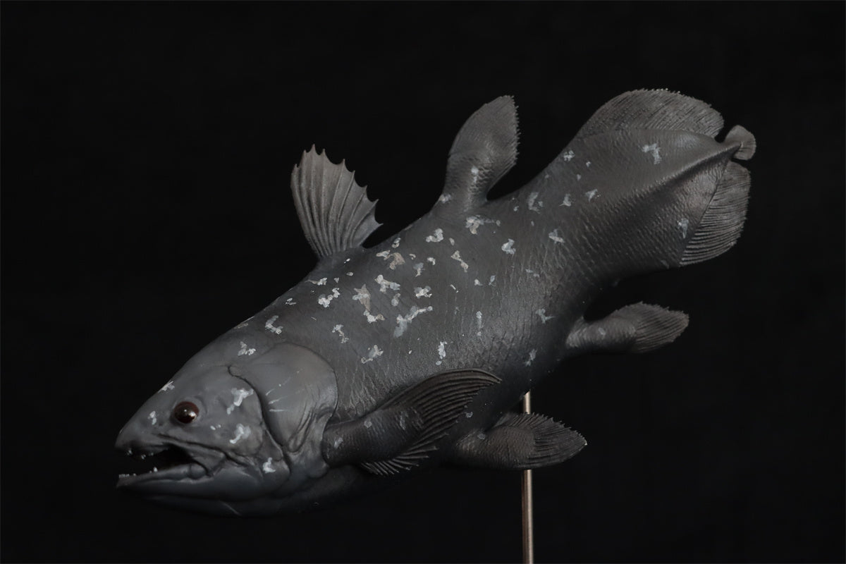 Memory Museum x Really Modeling 1/15 Coelacanth Statue