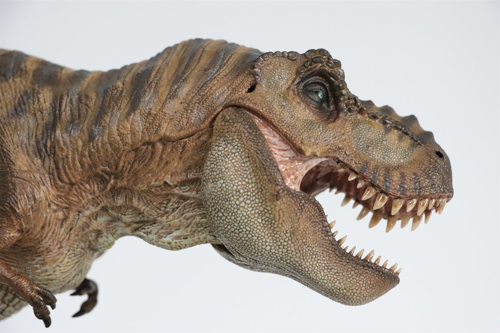 Nanmu T Rex The Once and Future King Figure