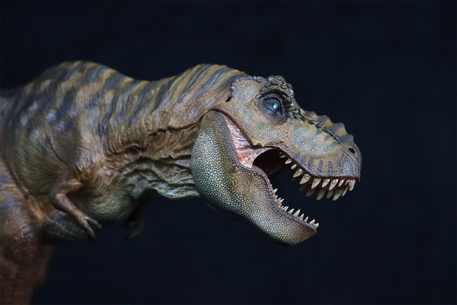 Nanmu T Rex The Once and Future King Figure
