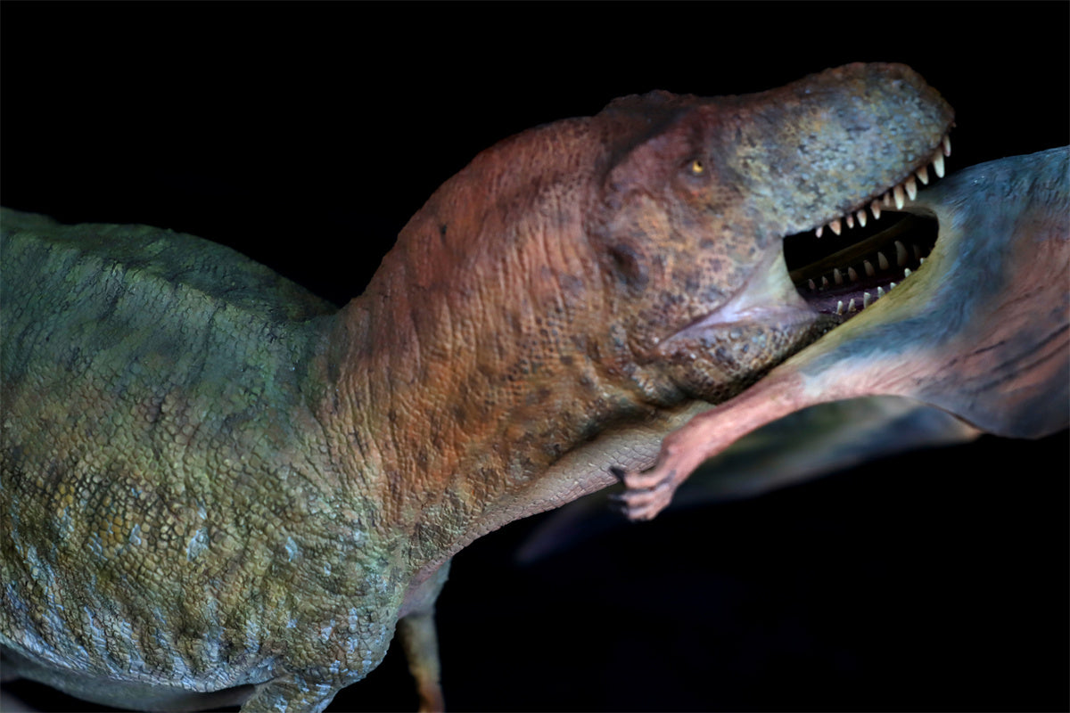 MuSee 1/35 Tyrannosaurus VS Quetzalcoatlus Model