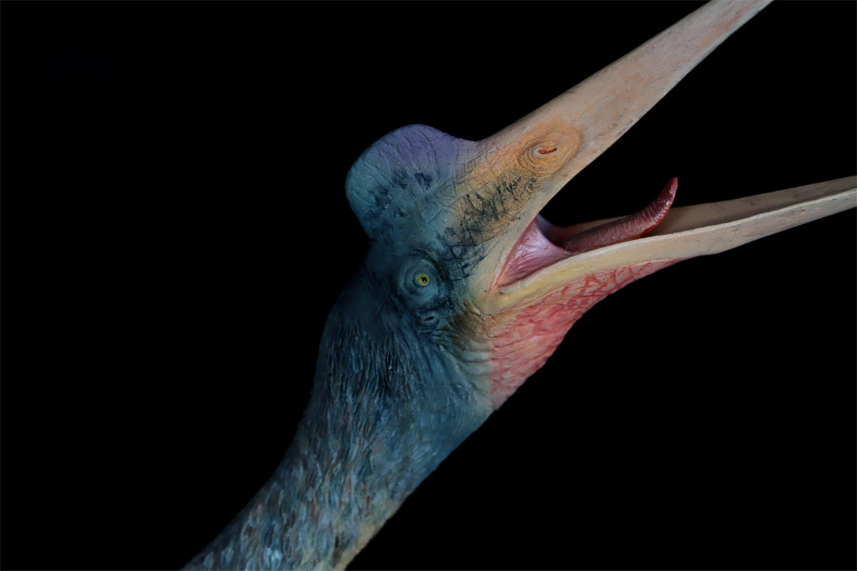 MuSee 1/35 Tyrannosaurus VS Quetzalcoatlus Model
