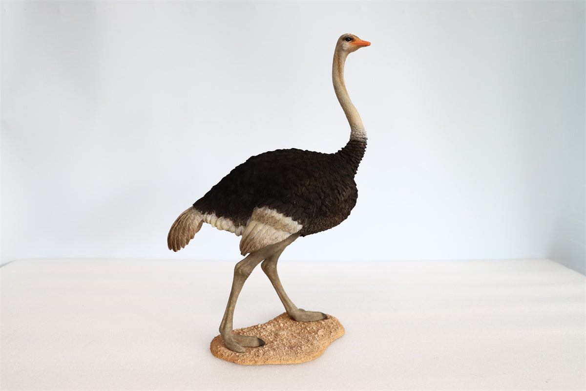 JXK 1/6 Ostrich Model