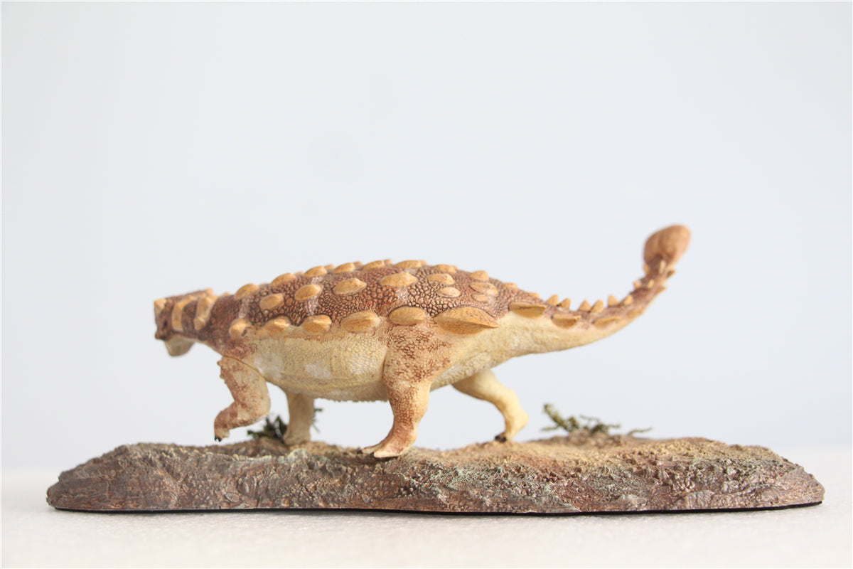 Vitae 1/35 Jinyunpelta sinensis Figure