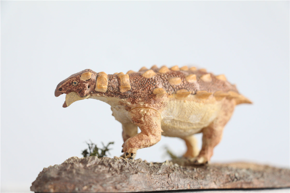 Vitae 1/35 Jinyunpelta sinensis Figure