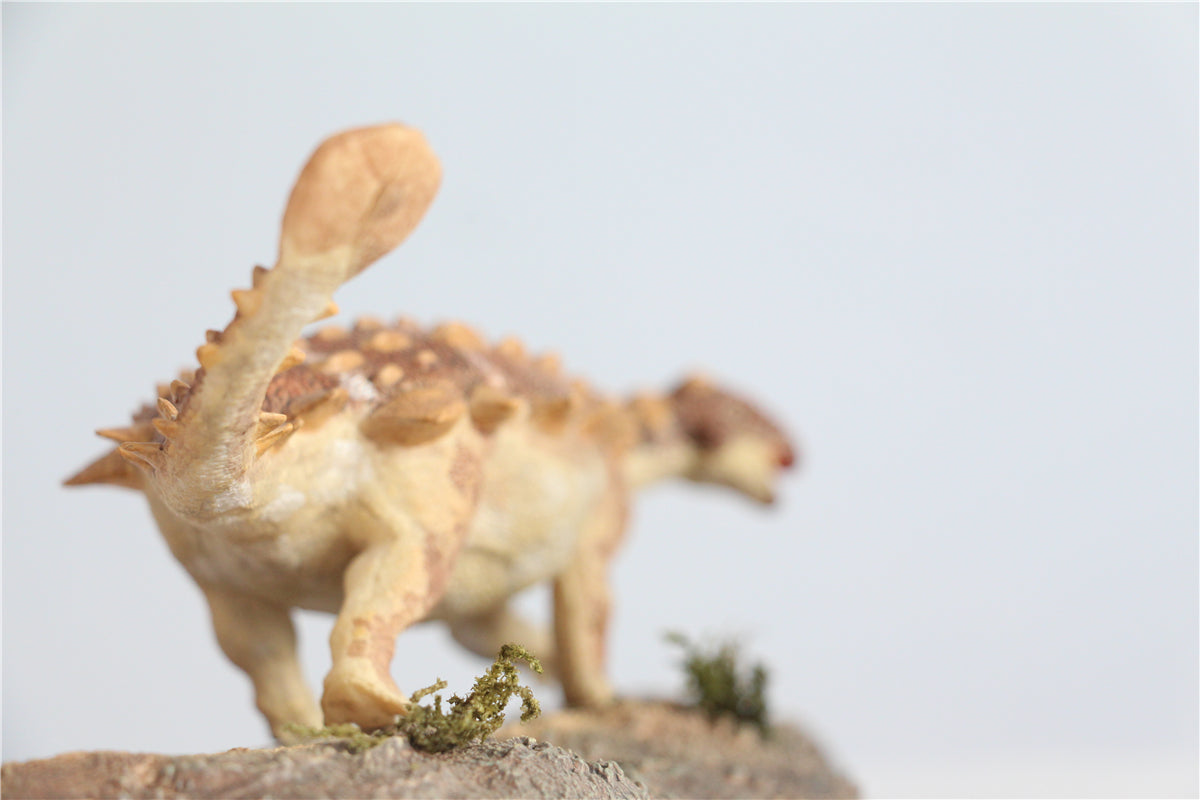 Vitae 1/35 Jinyunpelta sinensis Figure