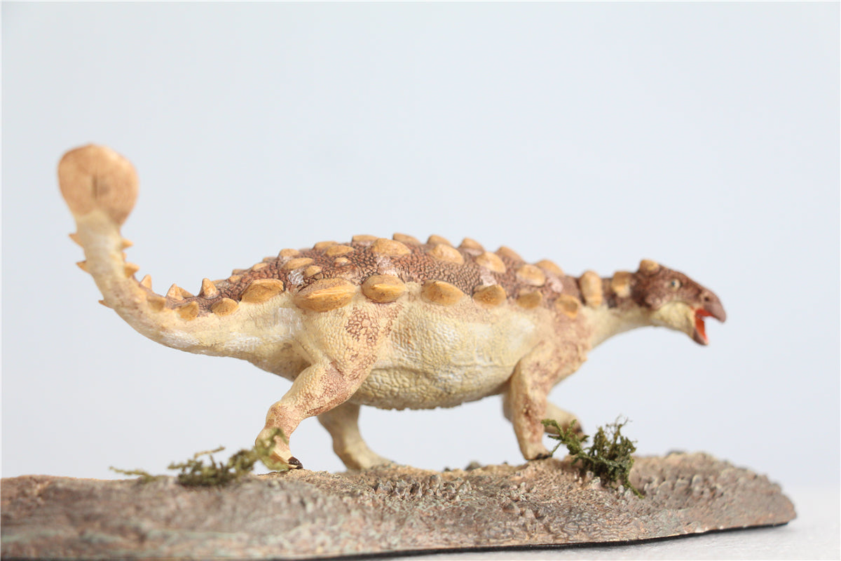 Vitae 1/35 Jinyunpelta sinensis Figure