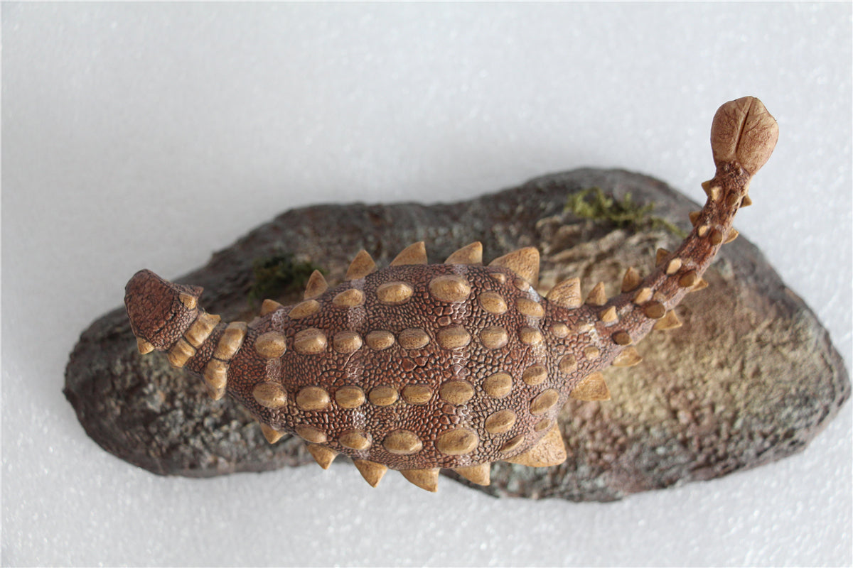 Vitae 1/35 Jinyunpelta sinensis Figure