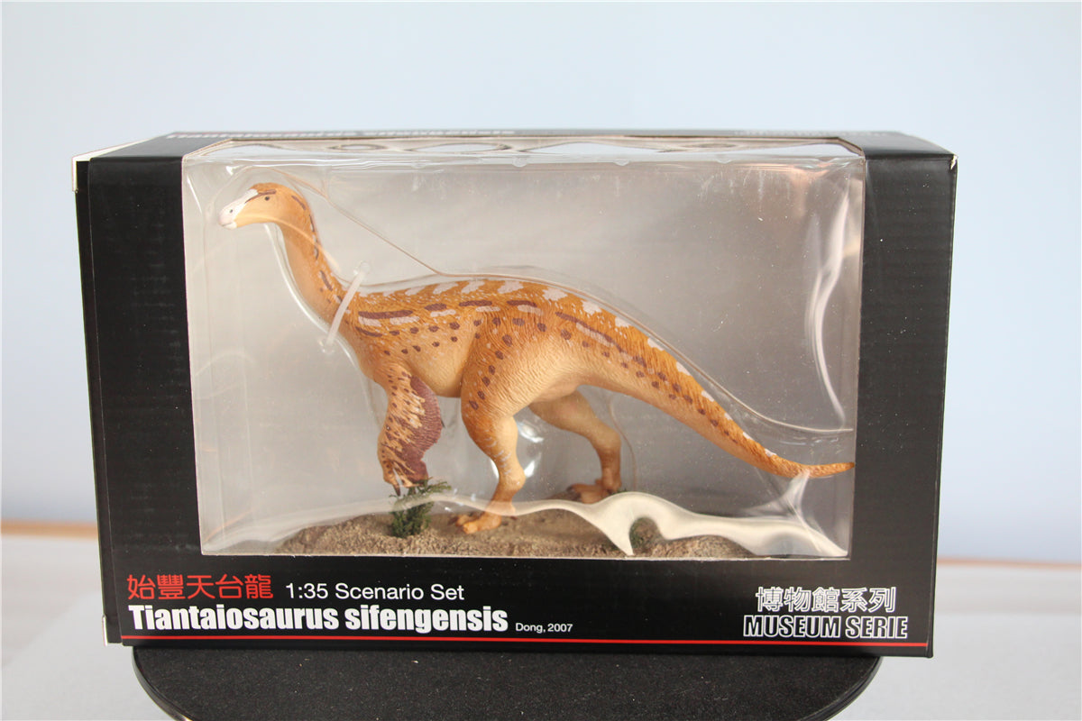 Vitae 1/35 Tiantaiosaurus sifengensis Dong B Figure