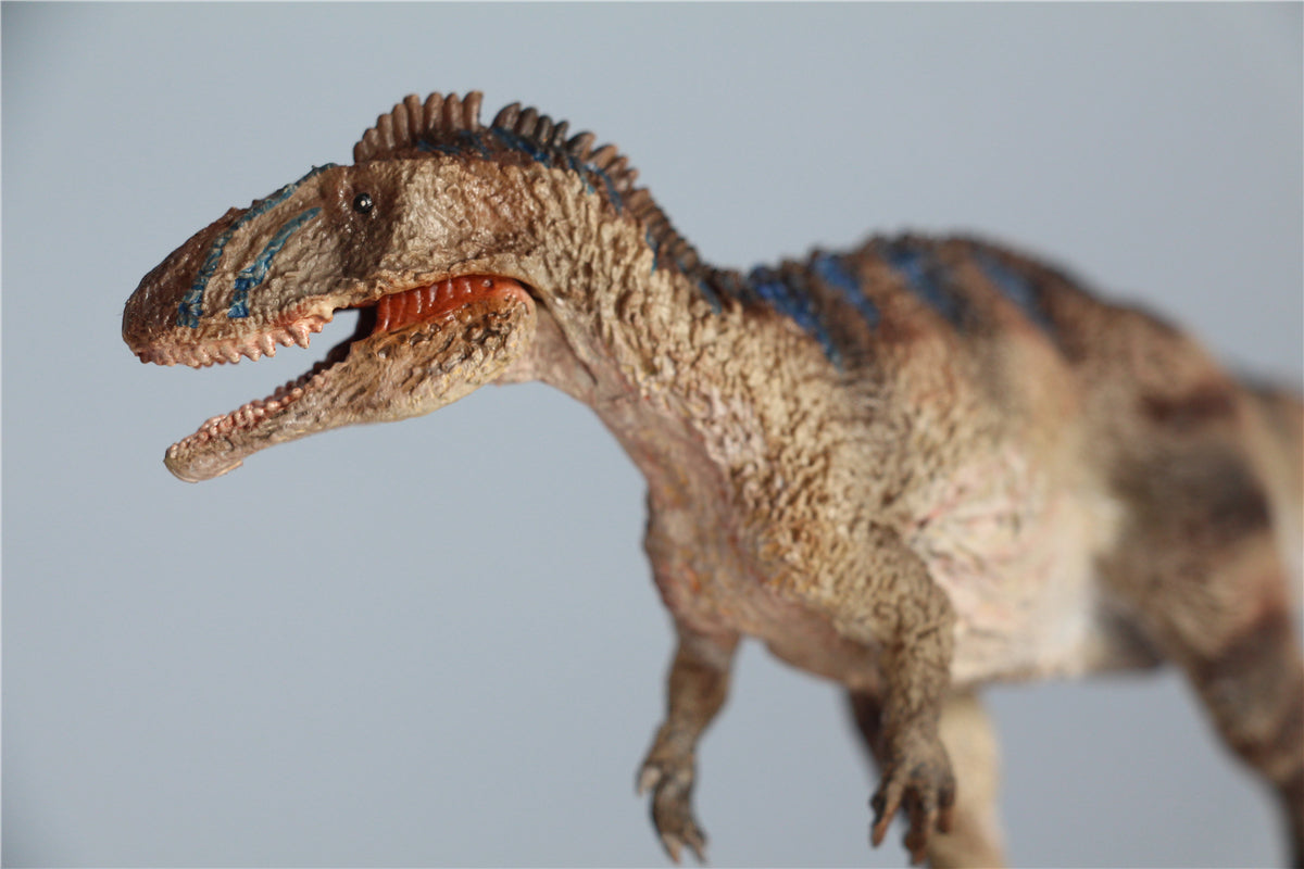 Vitae 1/35 Sinraptor dongi Model