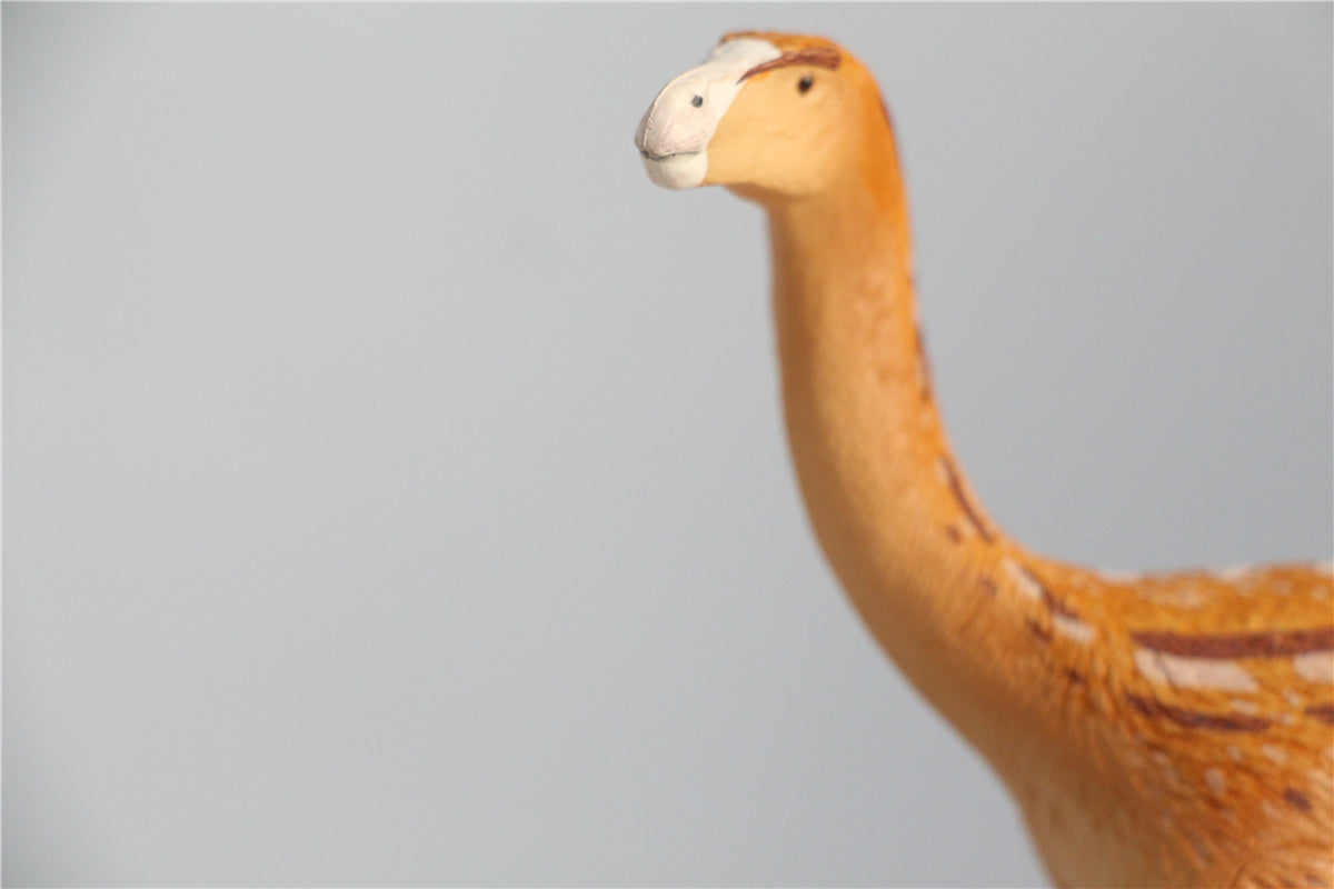 Vitae 1/35 Tiantaiosaurus sifengensis Dong B Figure