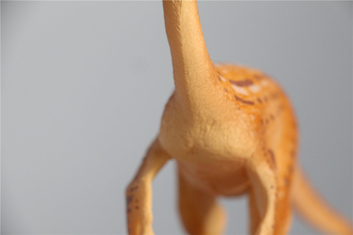 Vitae 1/35 Tiantaiosaurus sifengensis Dong B Figure