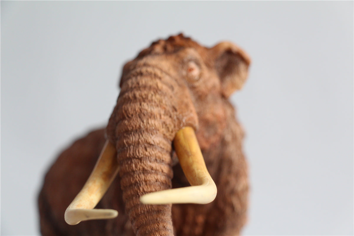 MuSee 1/18 Mammut americanum Mastodon Statue