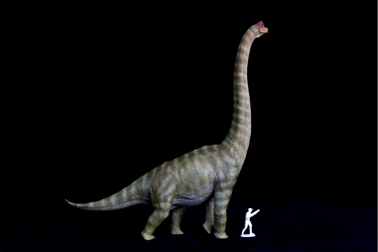 Nanmu Studio Brachiosaurus Watchmen Figure