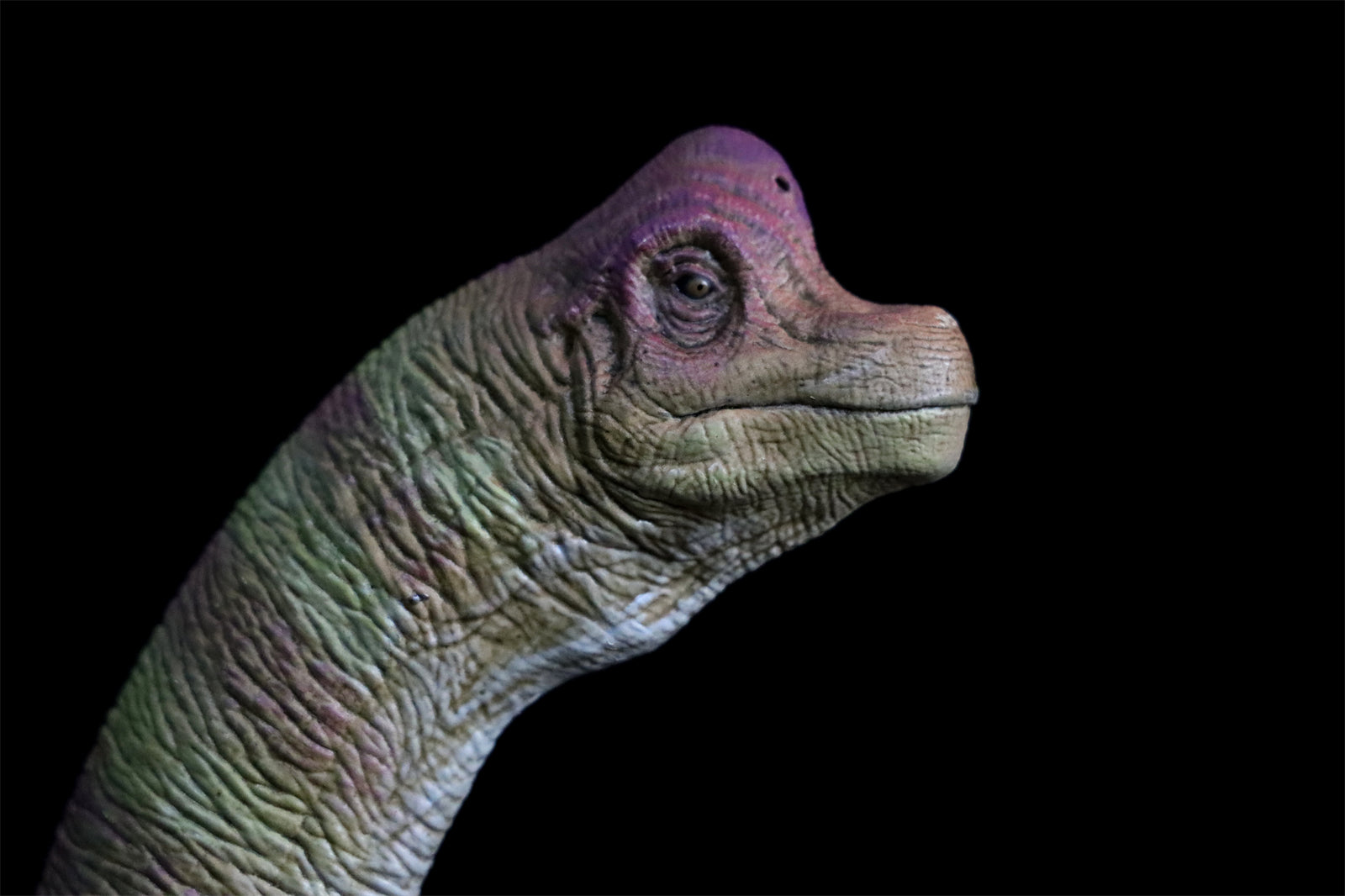 Nanmu Studio Brachiosaurus Watchmen Figure