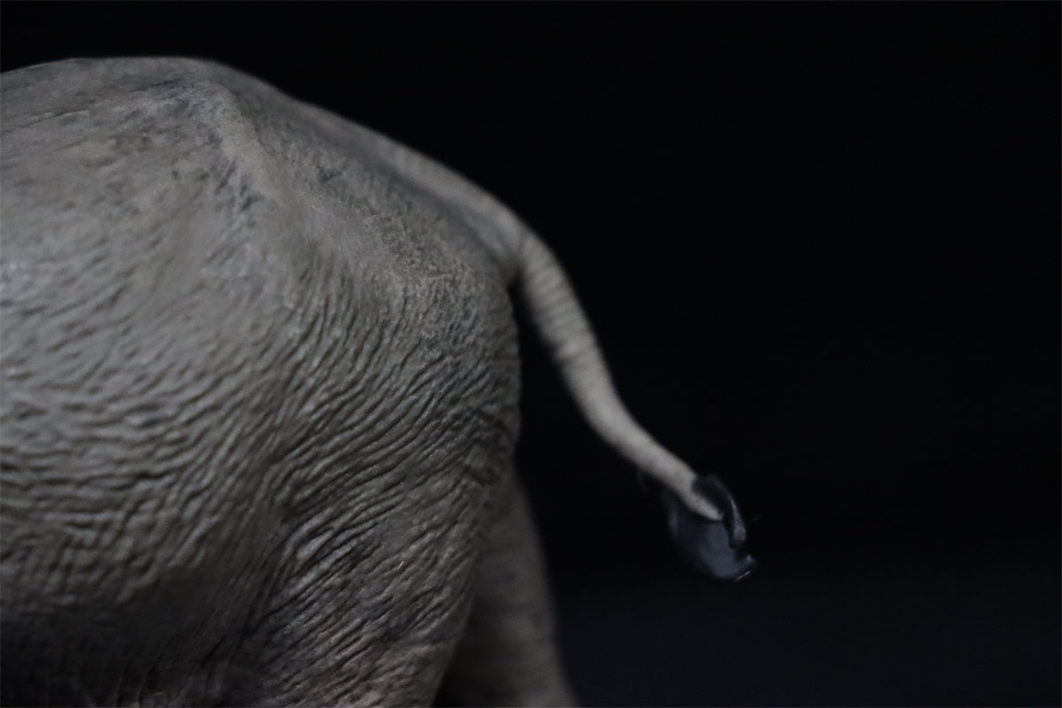 Eofauna 1:35 Scale Konobelodon Figure