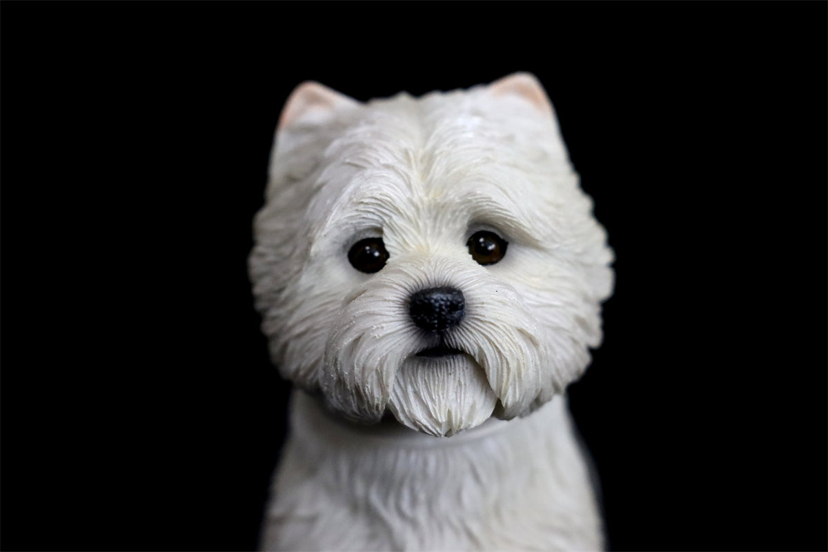 JXK 1/6 West Highland White Terrier Model