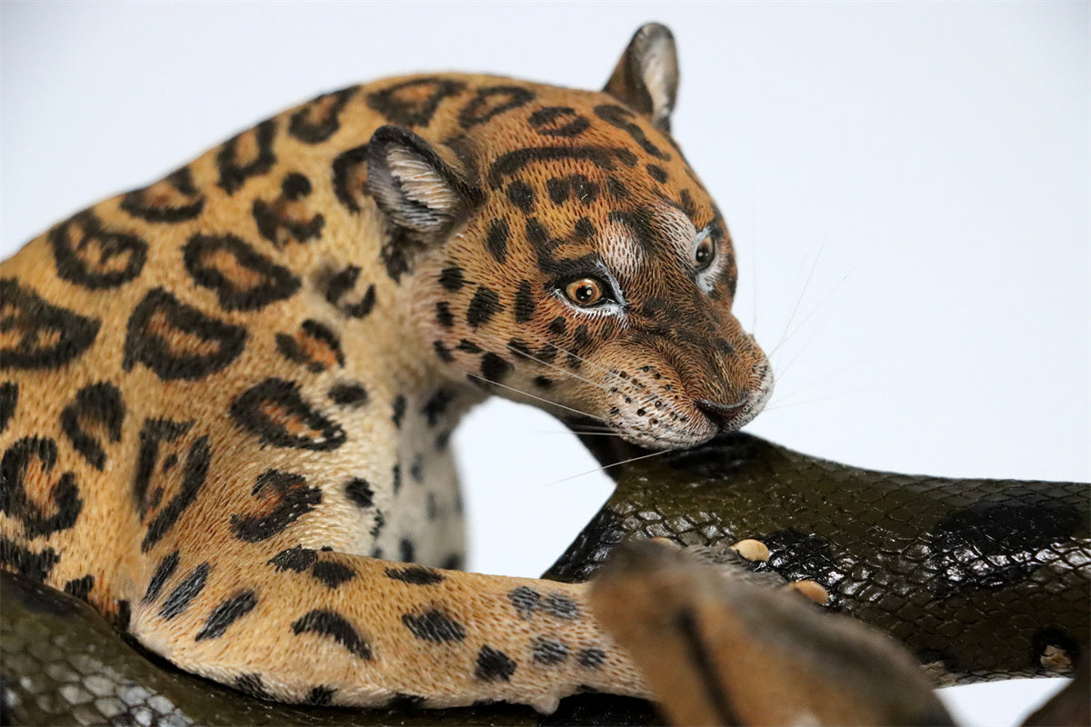 K&P 1/6 Anaconda VS Panthera onca Scene Statue