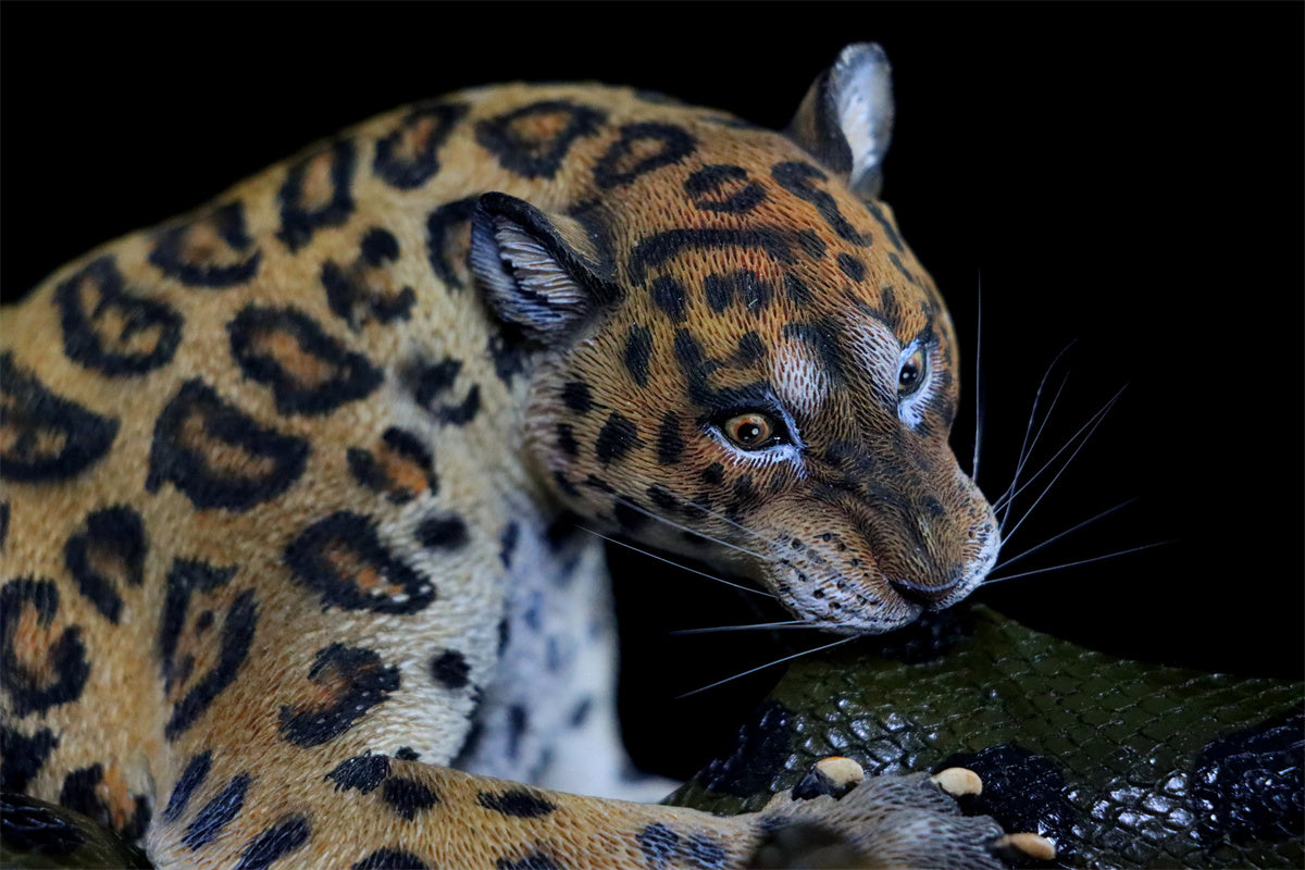 K&P 1/6 Anaconda VS Panthera onca Scene Statue