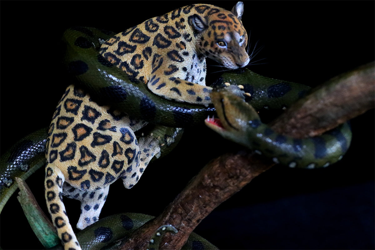 K&P 1/6 Anaconda VS Panthera onca Scene Statue