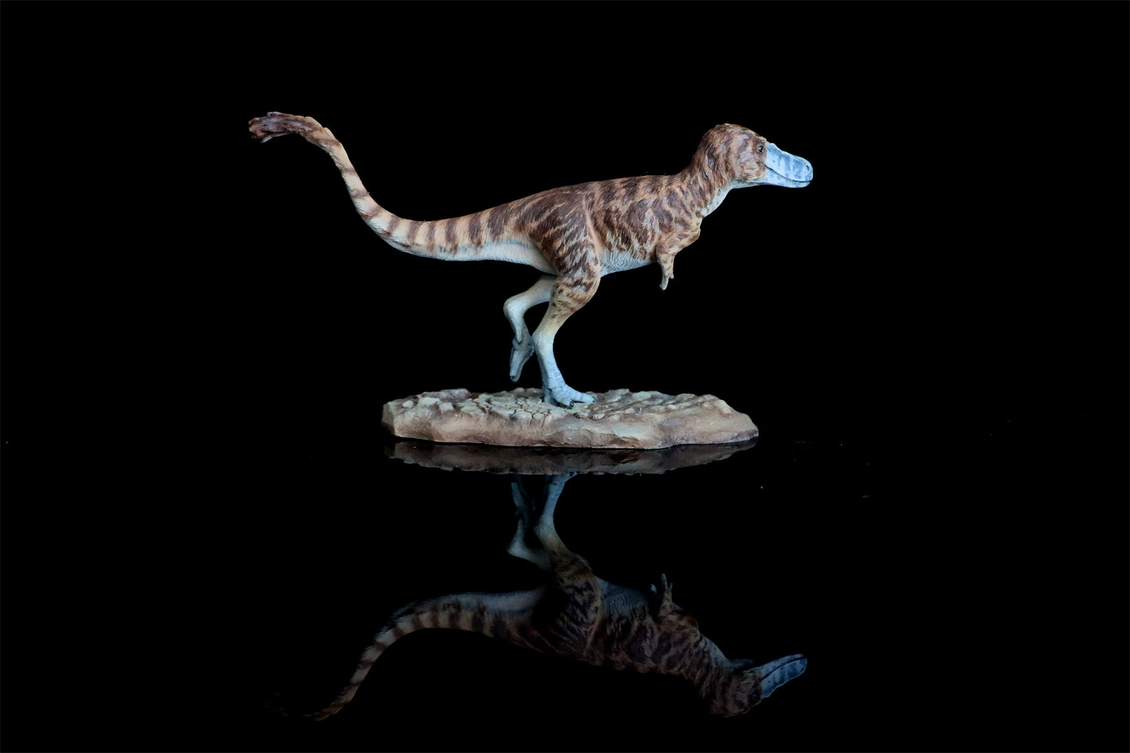 Cen DaoYi Studio 1:15 Scale Tyrannosaurus Cub Statue Model Kit