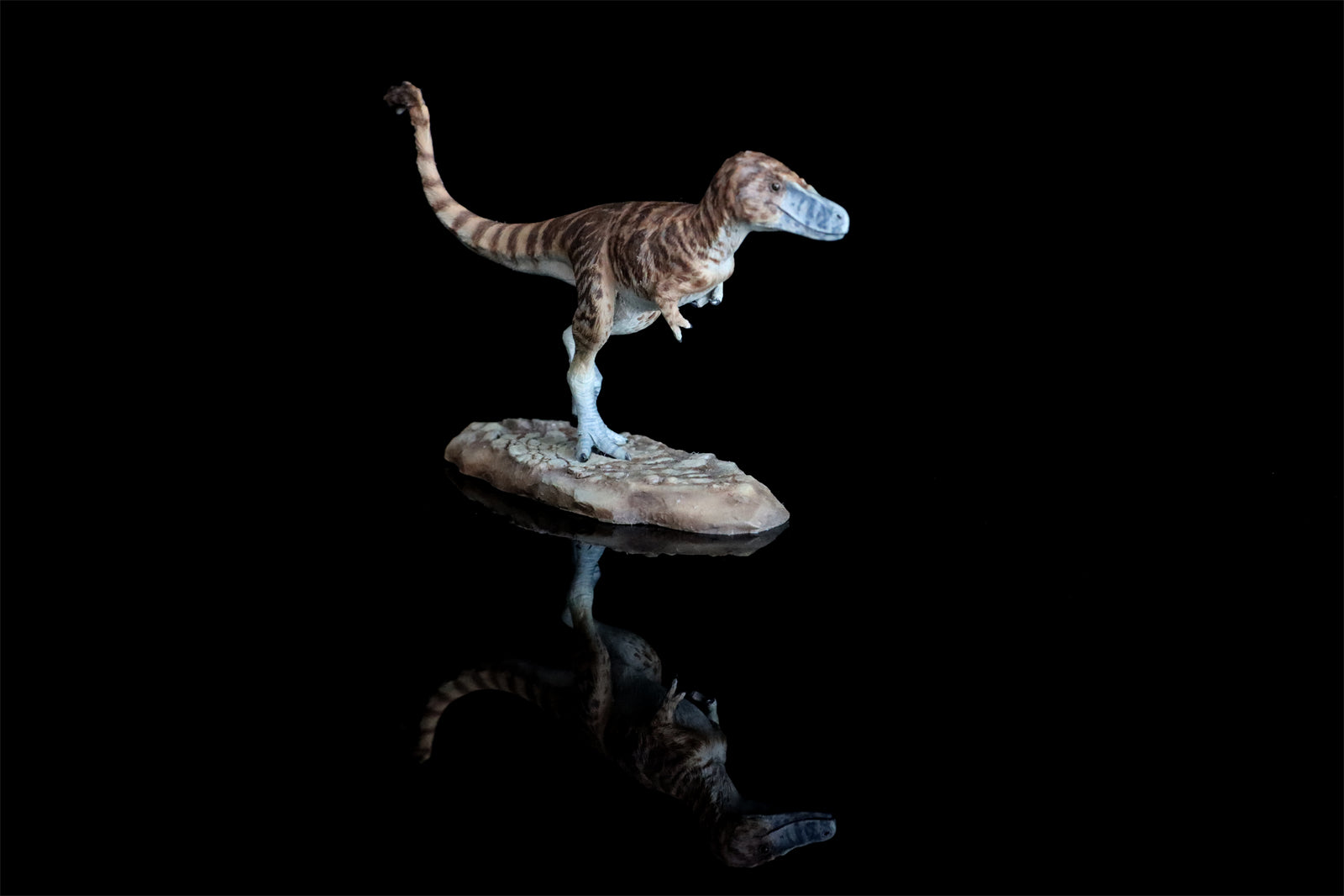 Cen DaoYi Studio 1:15 Scale Tyrannosaurus Cub Statue Model Kit