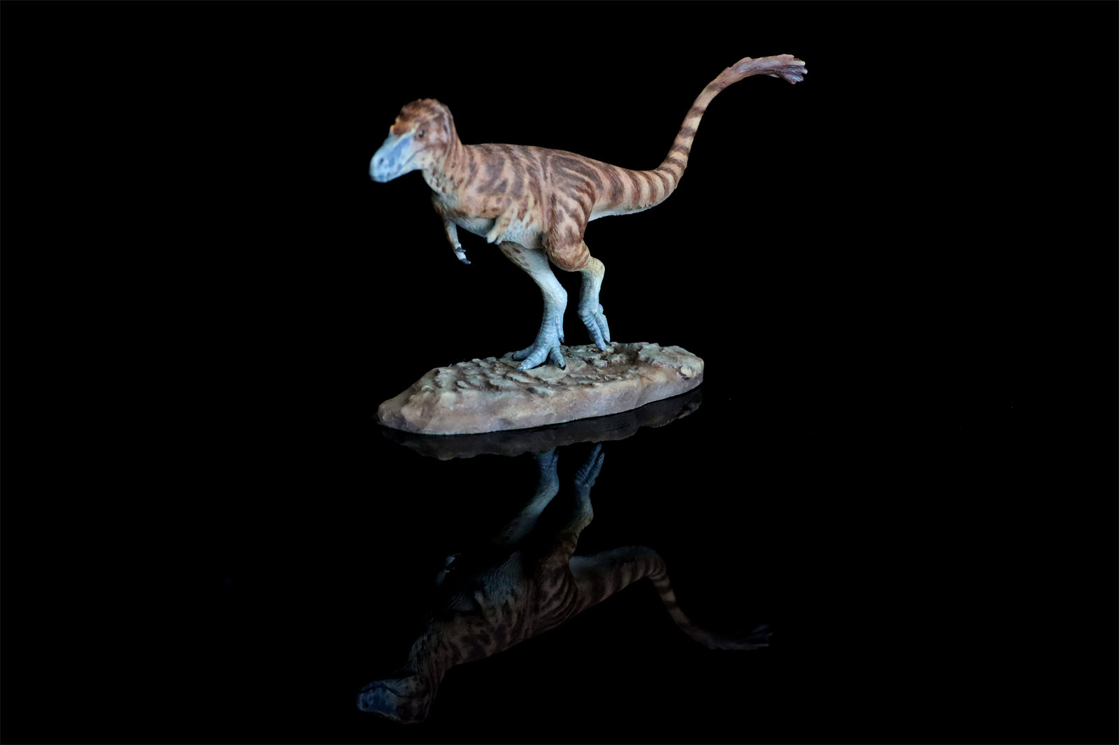 Cen DaoYi Studio 1:15 Scale Tyrannosaurus Cub Statue Model Kit