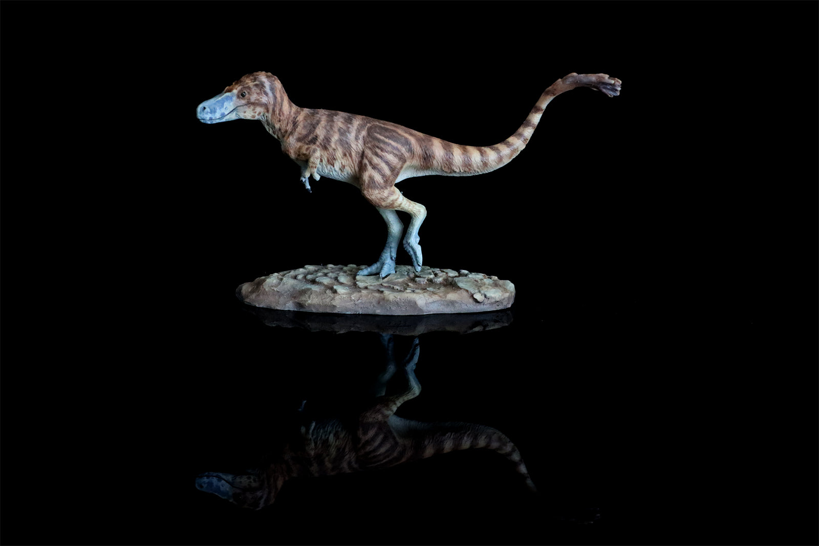 Cen DaoYi Studio 1:15 Scale Tyrannosaurus Cub Statue Model Kit